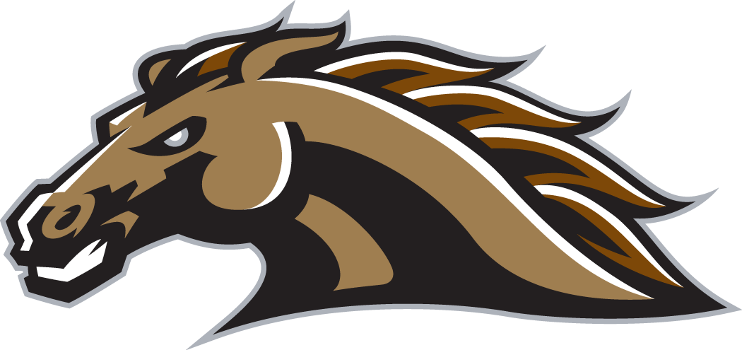 Western Michigan Broncos 1998-Pres Secondary Logo diy DTF decal sticker